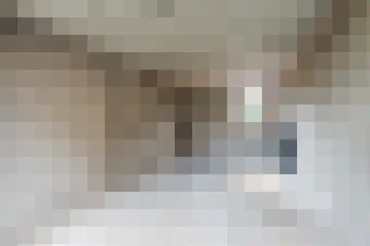 Hortensiastraat 12 Ederveen thumbnail 45