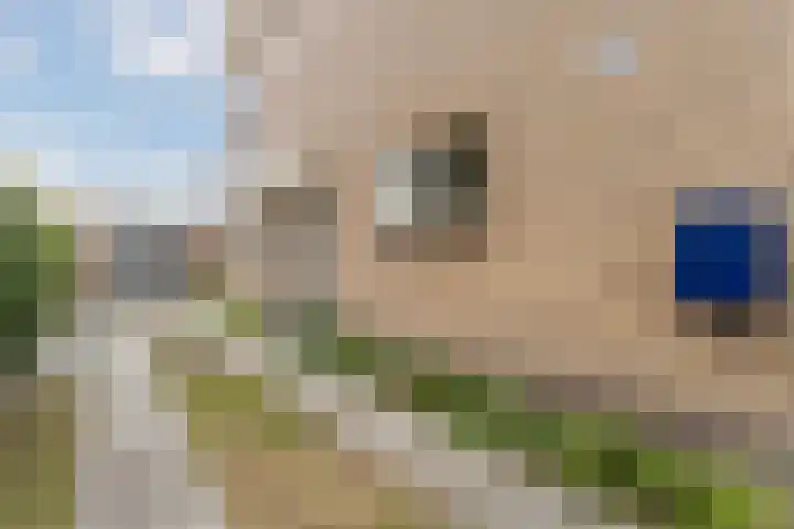 Hortensiastraat 12 Ederveen thumbnail 5