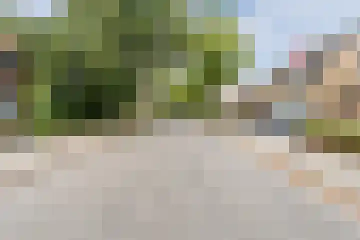 Hortensiastraat 12 Ederveen thumbnail 50