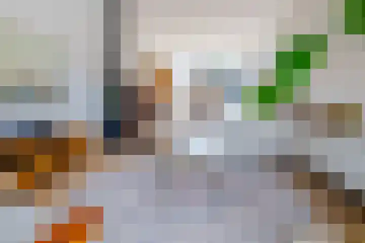 Hortensiastraat 130 Zwolle thumbnail 14