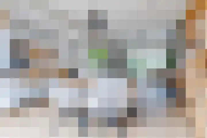 Hortensiastraat 130 Zwolle thumbnail 20
