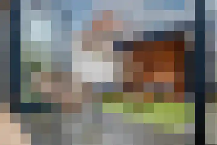 Hortensiastraat 130 Zwolle thumbnail 27
