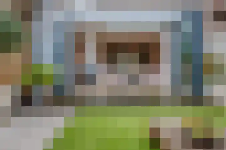 Hortensiastraat 130 Zwolle thumbnail 28