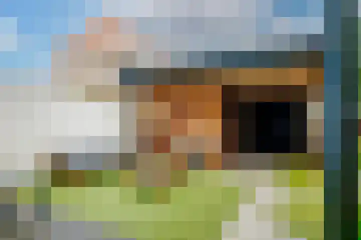 Hortensiastraat 130 Zwolle thumbnail 29