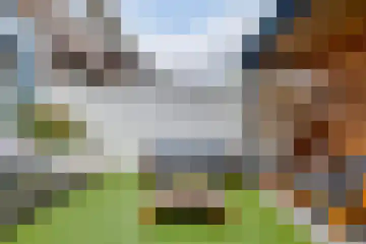Hortensiastraat 130 Zwolle thumbnail 31