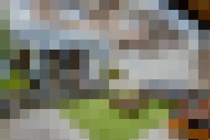 Hortensiastraat 130 Zwolle thumbnail 32