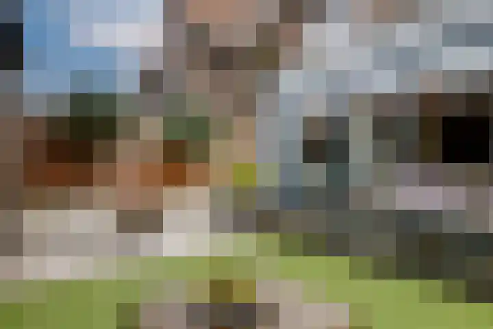 Hortensiastraat 130 Zwolle thumbnail 34