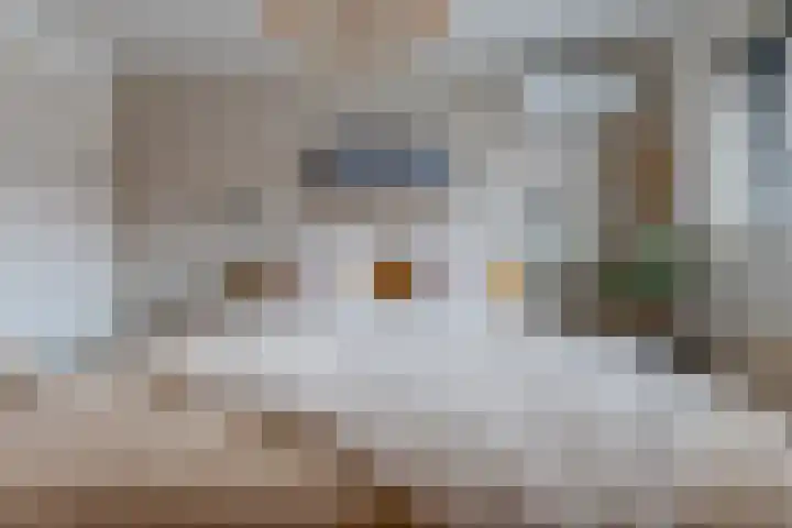 Hortensiastraat 130 Zwolle thumbnail 44