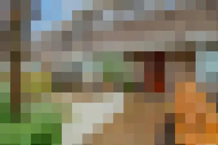 Hortensiastraat 130 Zwolle thumbnail 5