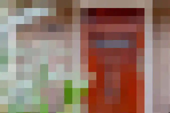 Hortensiastraat 130 Zwolle thumbnail 6