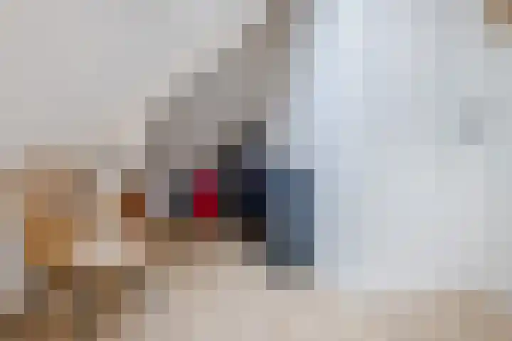 Hortensiastraat 130 Zwolle thumbnail 65