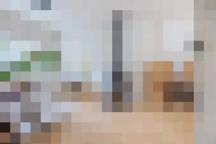 Hortensiastraat 130 Zwolle thumbnail 9