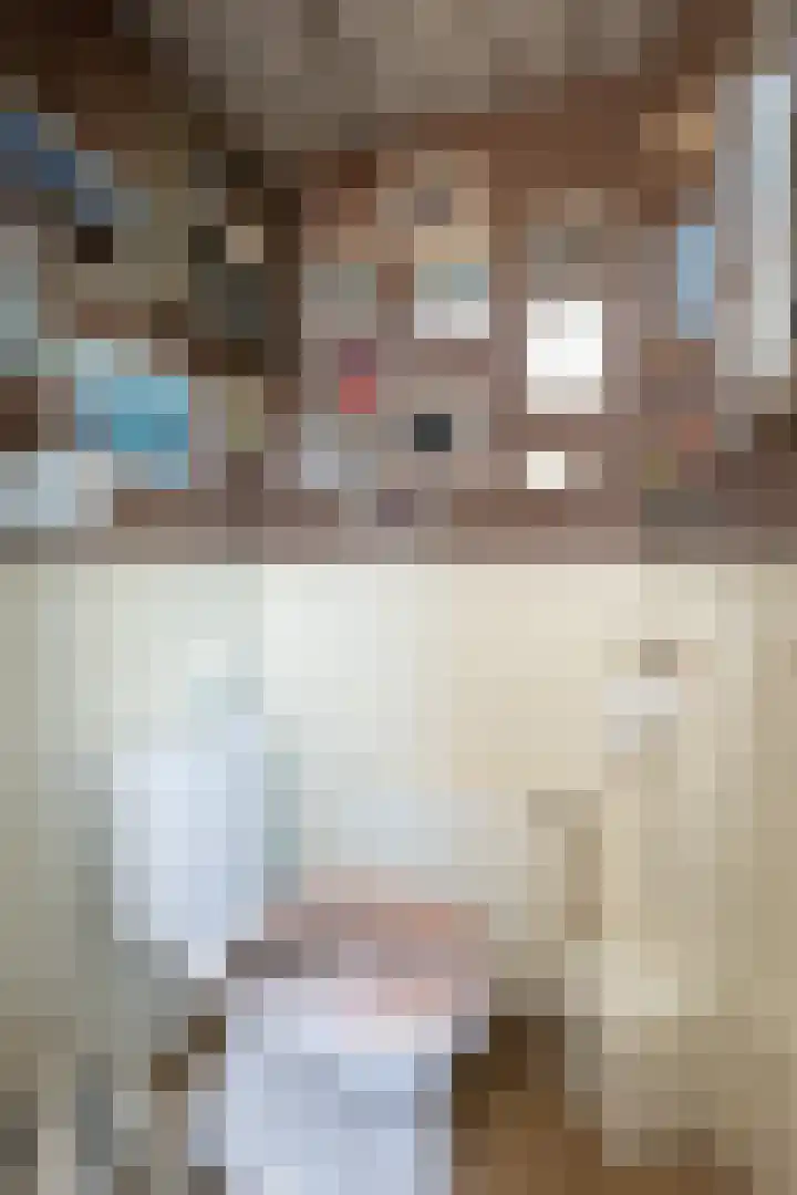 Hortensiastraat 14 Hilversum thumbnail 10