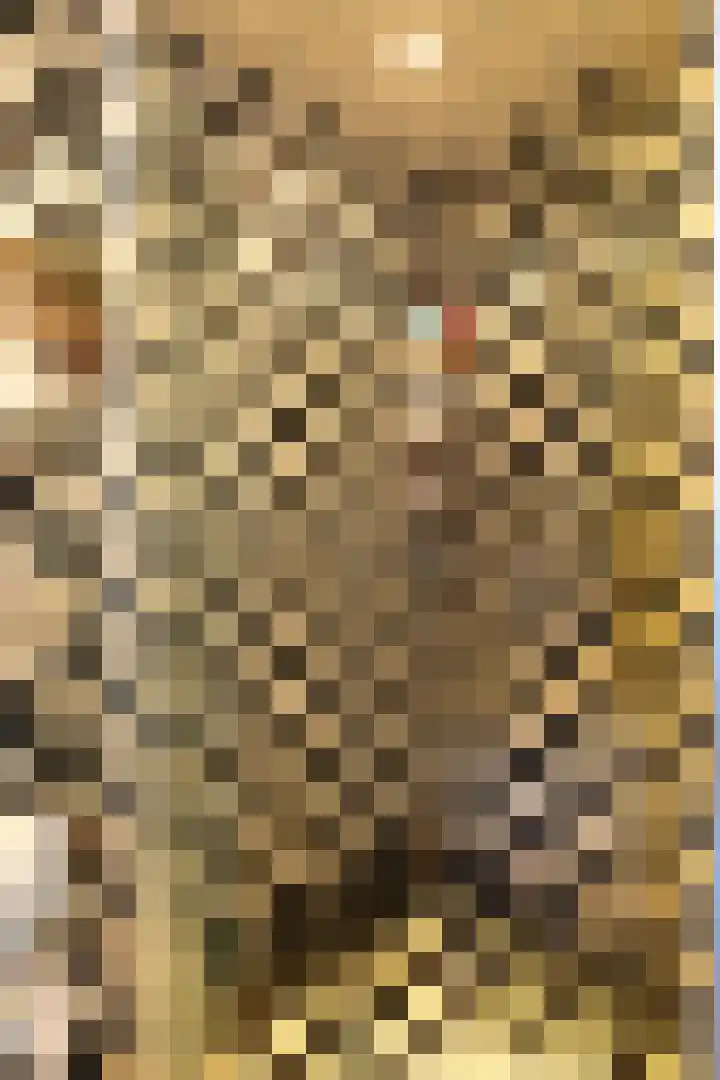 Hortensiastraat 14 Hilversum thumbnail 19
