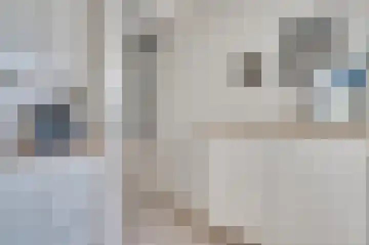 Hortensiastraat 14 Venlo thumbnail 10