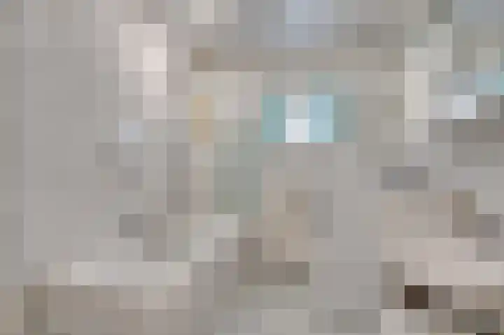 Hortensiastraat 14 Venlo thumbnail 15