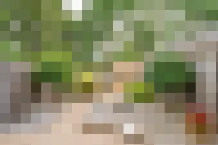 Hortensiastraat 14 Venlo thumbnail 18