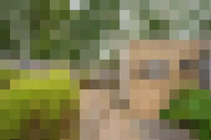 Hortensiastraat 14 Venlo thumbnail 19