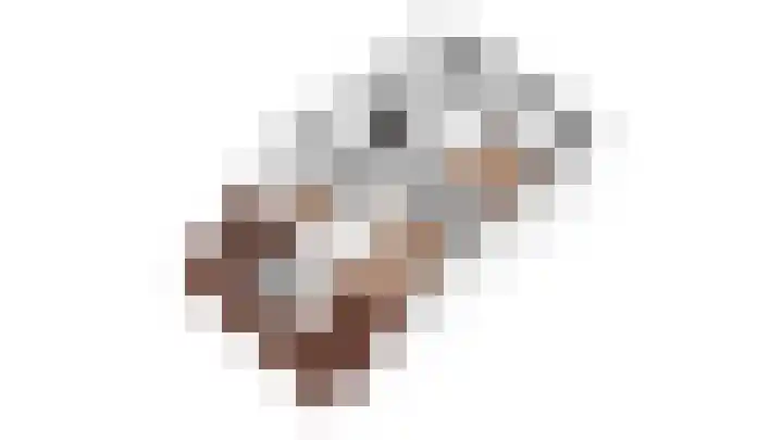 Hortensiastraat 14 Venlo thumbnail 29
