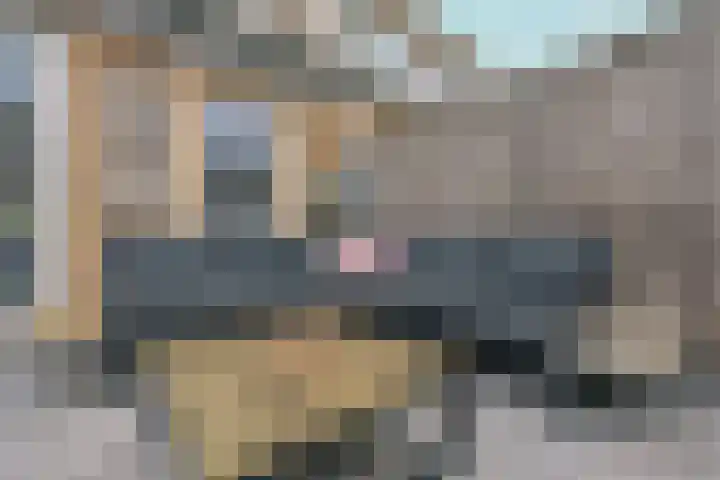 Hortensiastraat 16 Almere thumbnail 37