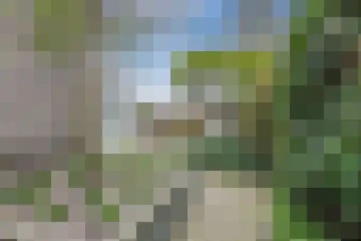 Hortensiastraat 16 Sint-Oedenrode thumbnail 10