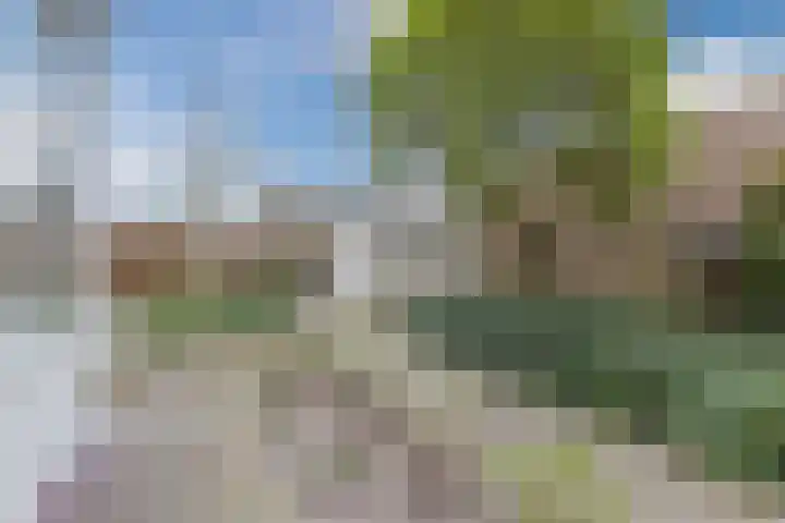 Hortensiastraat 16 Sint-Oedenrode thumbnail 45