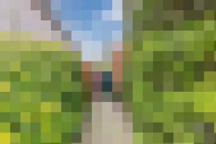 Hortensiastraat 16 Sint-Oedenrode thumbnail 51