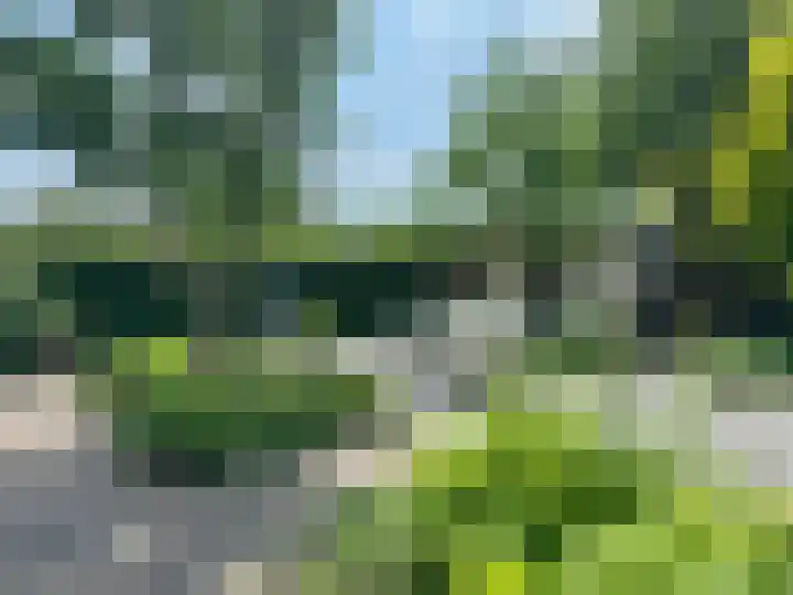 Hortensiastraat 16 Sint-Oedenrode thumbnail 52