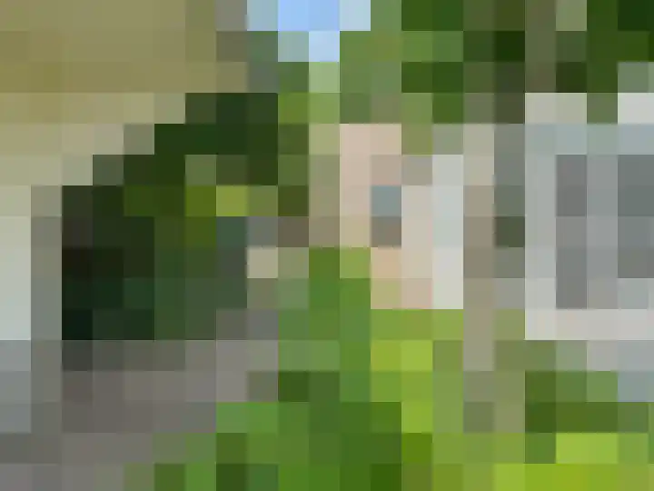 Hortensiastraat 16 Sint-Oedenrode thumbnail 56