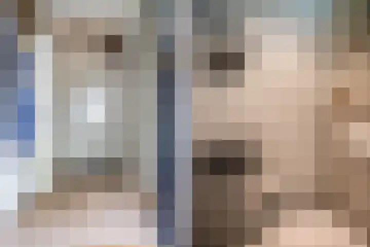 Hortensiastraat 16 Wierden thumbnail 10