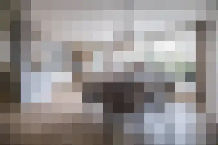 Hortensiastraat 16 Wierden thumbnail 12