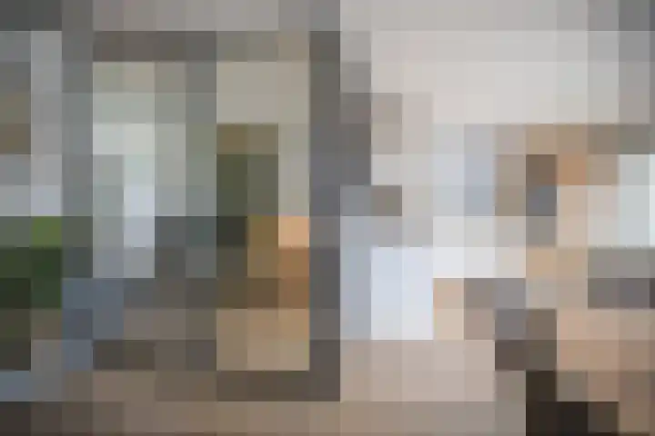 Hortensiastraat 16 Wierden thumbnail 18