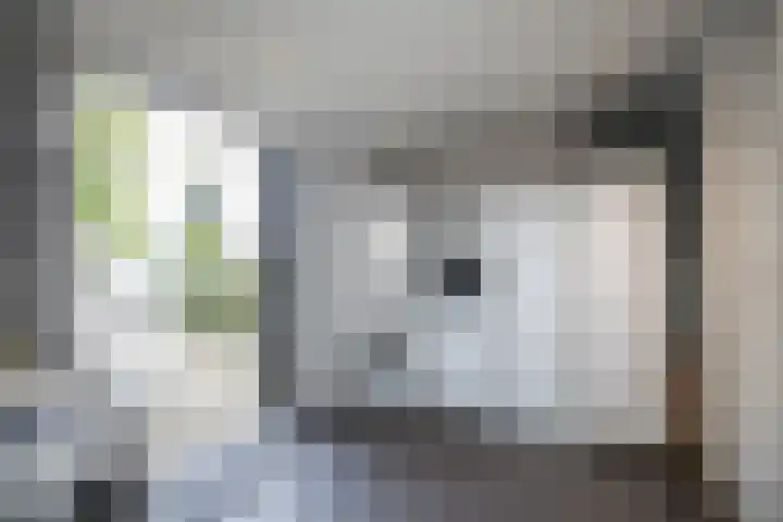 Hortensiastraat 16 Wierden thumbnail 24