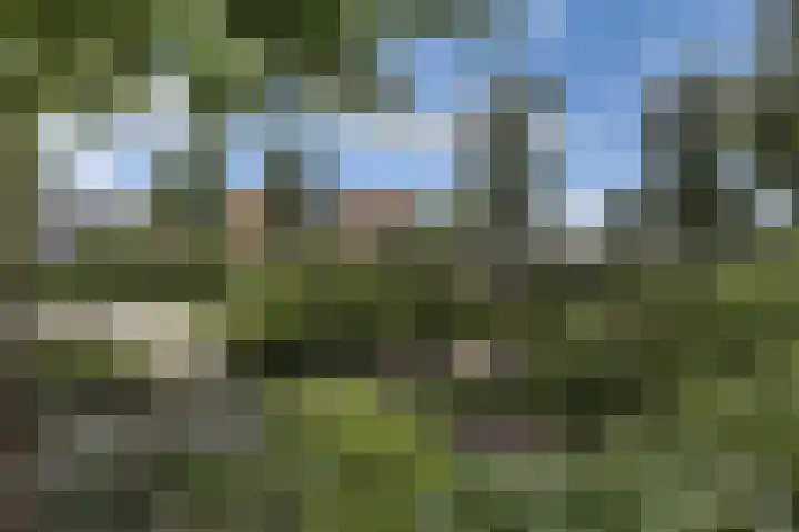 Hortensiastraat 16 Wierden thumbnail 27