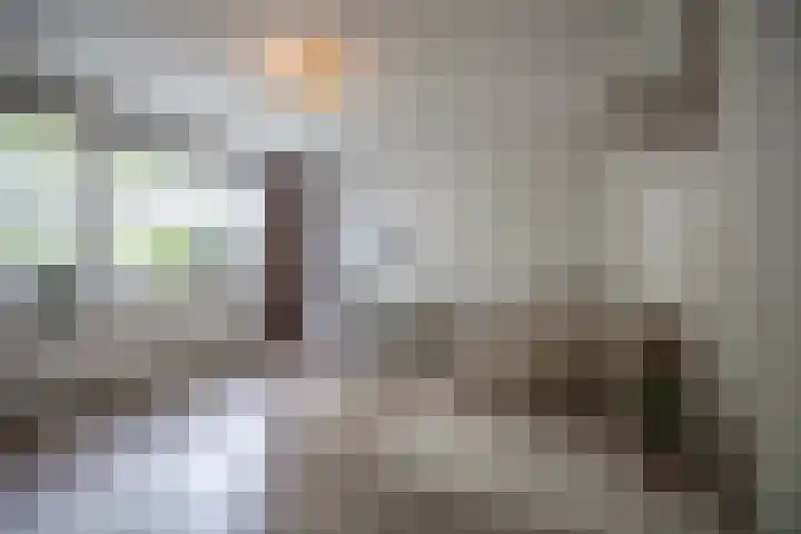 Hortensiastraat 16 Wierden thumbnail 28