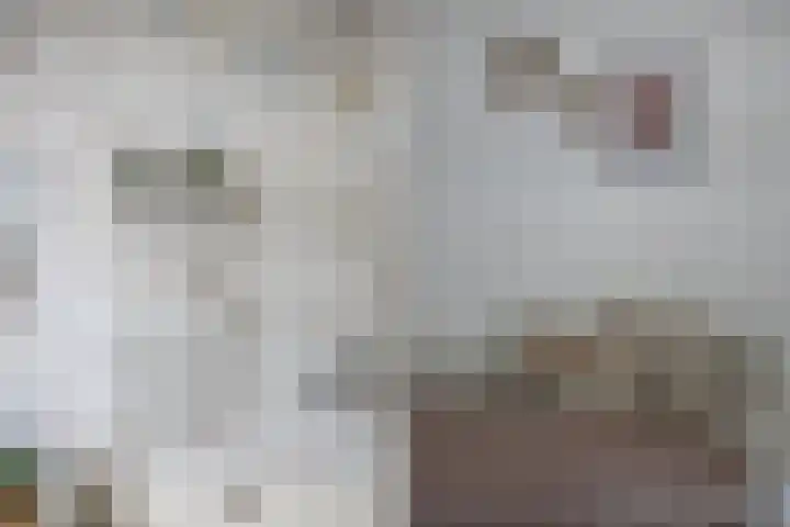 Hortensiastraat 16 Wierden thumbnail 29