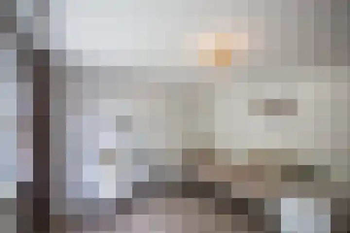 Hortensiastraat 16 Wierden thumbnail 30