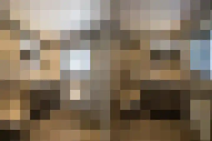 Hortensiastraat 16 Wierden thumbnail 35