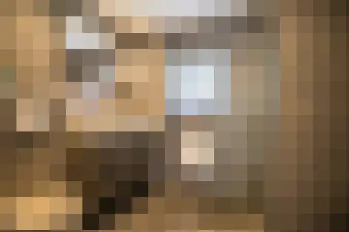 Hortensiastraat 16 Wierden thumbnail 36
