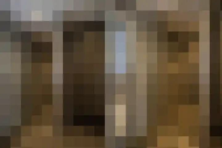 Hortensiastraat 16 Wierden thumbnail 37