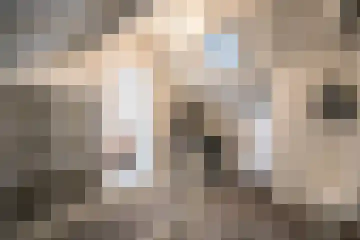 Hortensiastraat 16 Wierden thumbnail 38