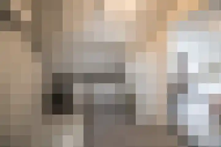 Hortensiastraat 16 Wierden thumbnail 39