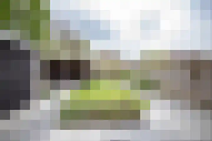 Hortensiastraat 16 Wierden thumbnail 4