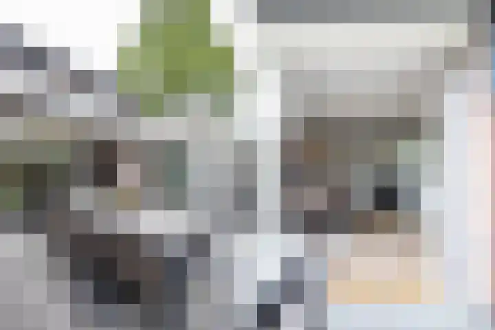 Hortensiastraat 16 Wierden thumbnail 45