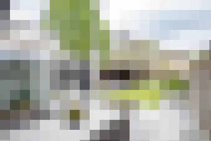 Hortensiastraat 16 Wierden thumbnail 46