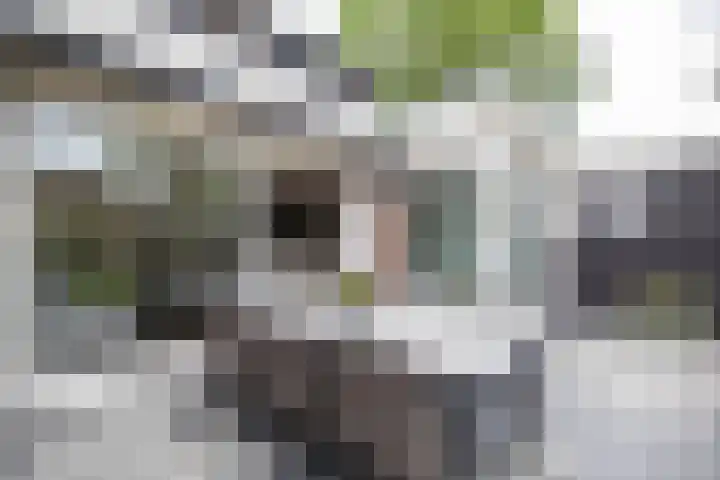 Hortensiastraat 16 Wierden thumbnail 47