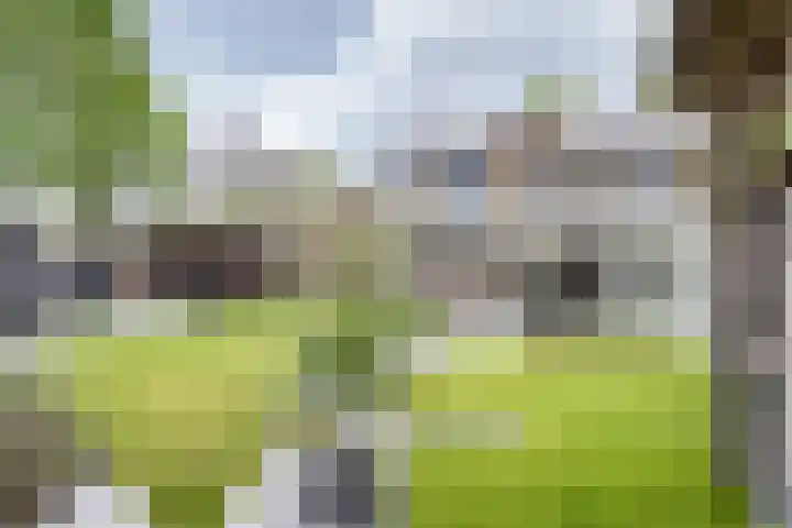 Hortensiastraat 16 Wierden thumbnail 48