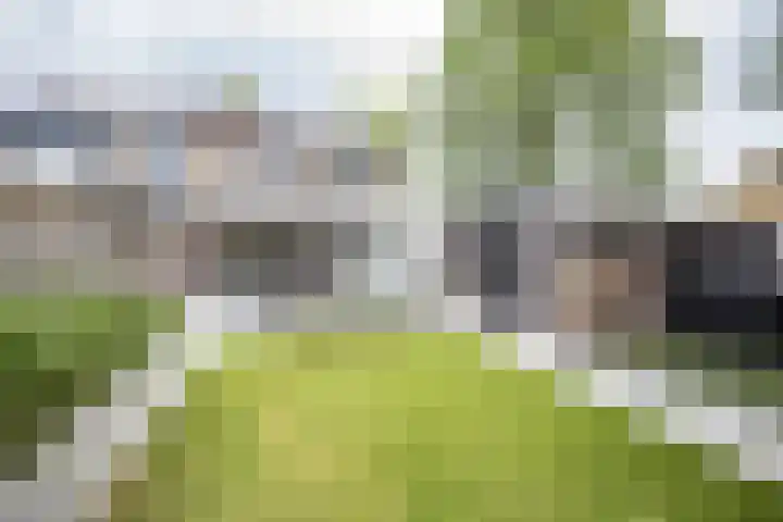 Hortensiastraat 16 Wierden thumbnail 49