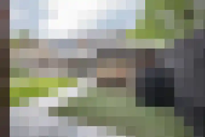 Hortensiastraat 16 Wierden thumbnail 50