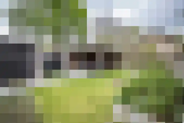 Hortensiastraat 16 Wierden thumbnail 51